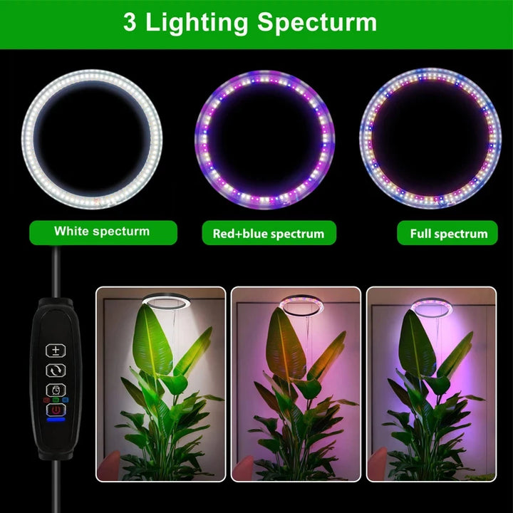 165cm Height Adjustable LED Grow Light – Full Spectrum for Indoor Plants