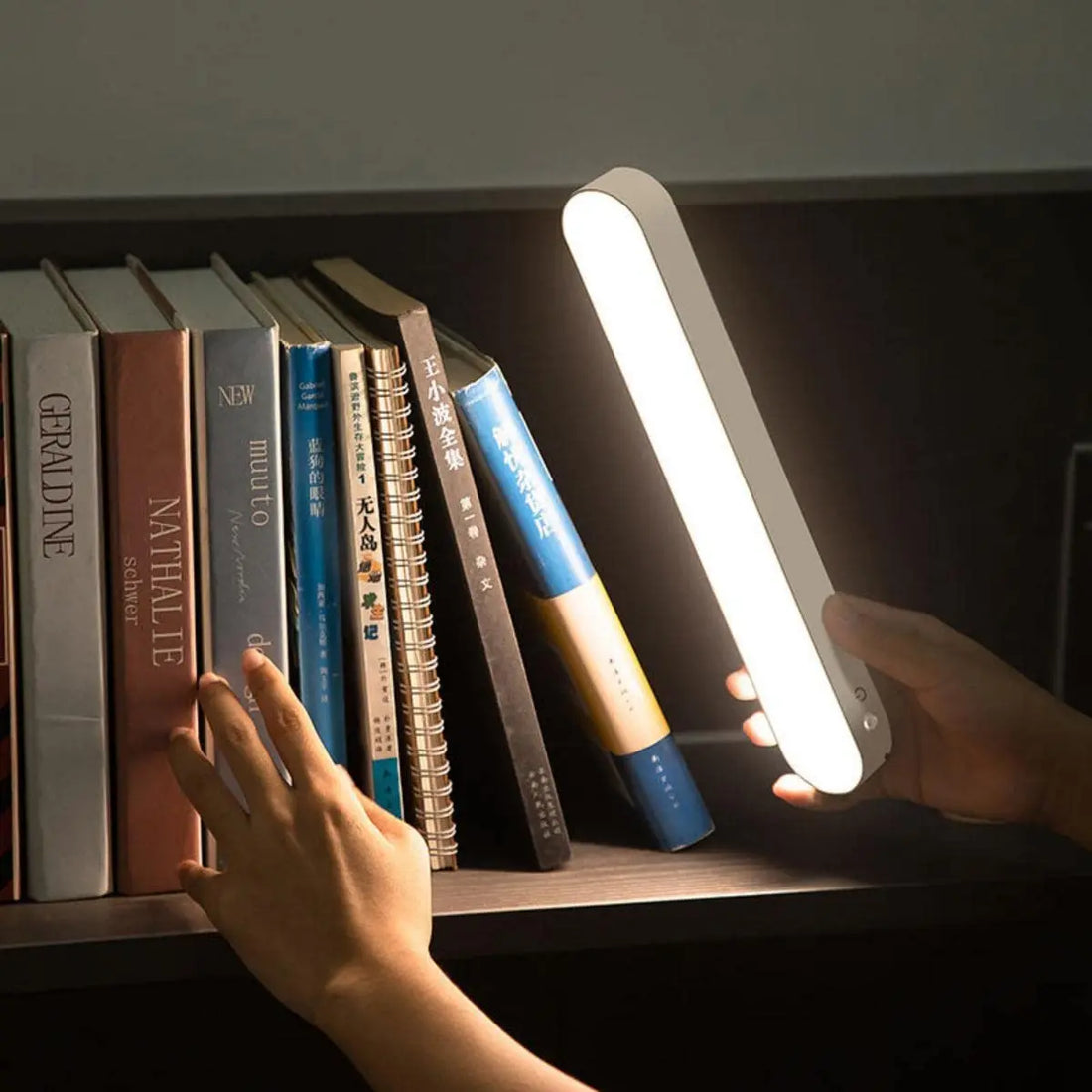 LED Night Light Desk Lamp