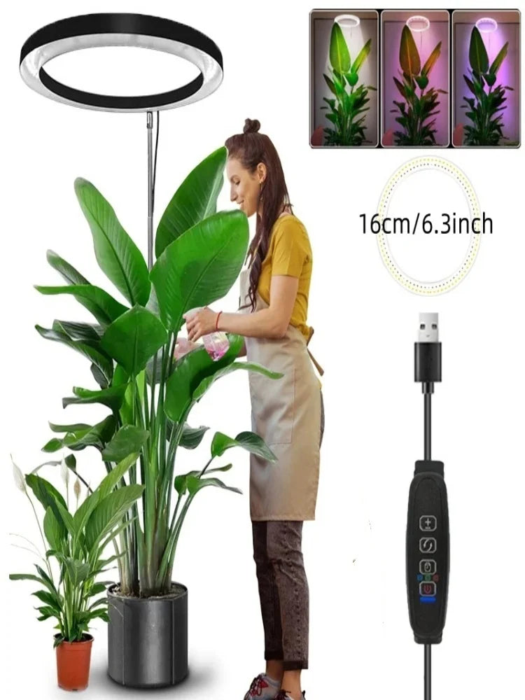 165cm Height Adjustable LED Grow Light – Full Spectrum for Indoor Plants