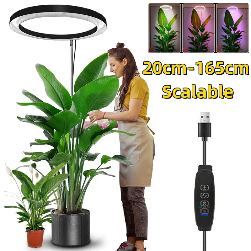 165cm Height Adjustable LED Grow Light – Full Spectrum for Indoor Plants