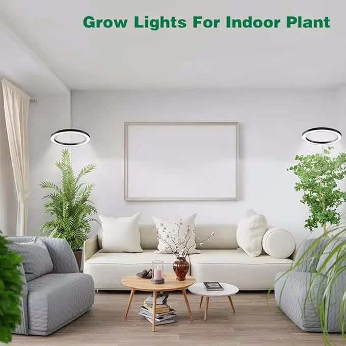 165cm Height Adjustable LED Grow Light – Full Spectrum for Indoor Plants